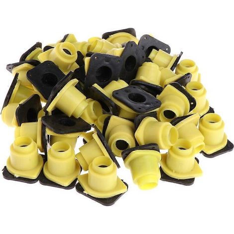 50x Base de protection pour reines d'abeilles - Matériel apicole - Base pour insectes