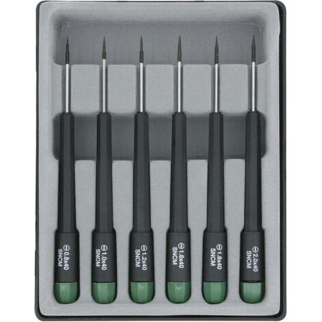 Donau Elektronik pour l'électronique et la mécanique de précision Jeu de tournevis 6 pièces vis à fente C94807