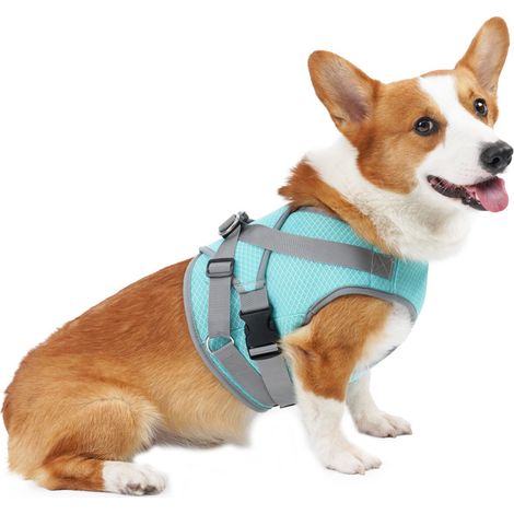 Arnés refrescante para perros, chaleco de malla transpirable ajustable, chaqueta refrescante de verano para mascotas (1/5)