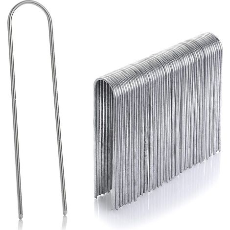 Lot de 50 piquets en acier inoxydable galvanisé, hauteur 150 mm, diamètre 3 mm (1/4)