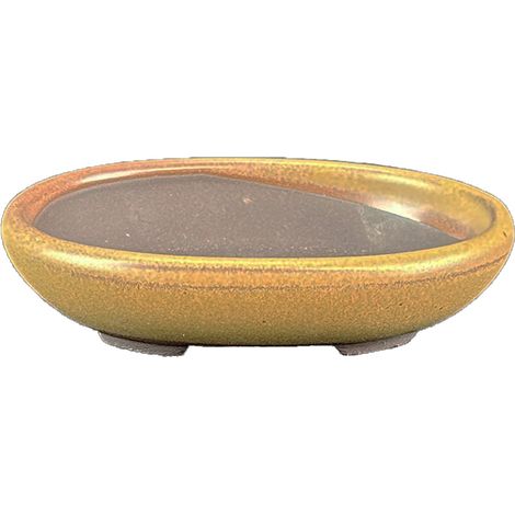 Vaso per bonsai Giapponese Morrisan ovale in gres smaltato giallo senape 9,5x7x2 cm - B02-8-10H