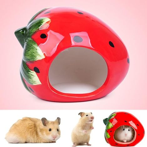 Ceramic Strawberry Hamster House Hamster Chinchilla (1/5)