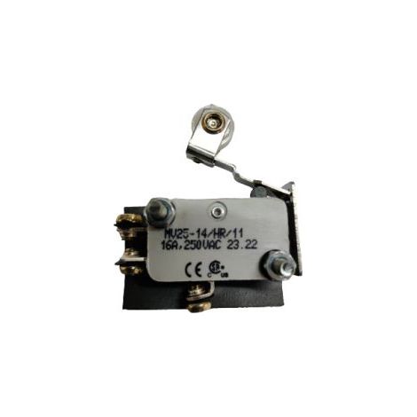 Microrupteur Levier RS PRO, Vis, SPDT, 16 A @ 250 V CA 250V ( Prix pour 1 )
