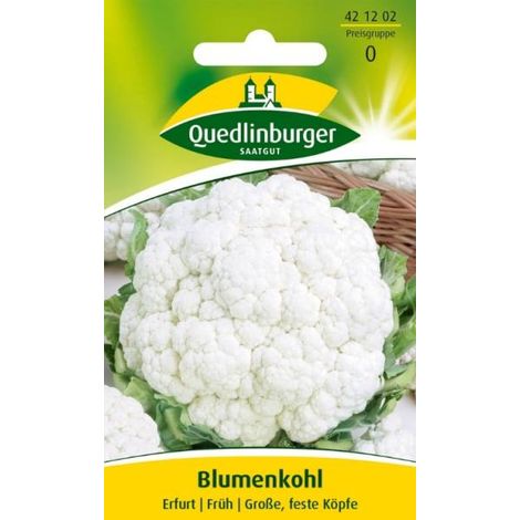 Quedlinburger Blumenkohl Erfurt  - Gemüsesamen (1/2)