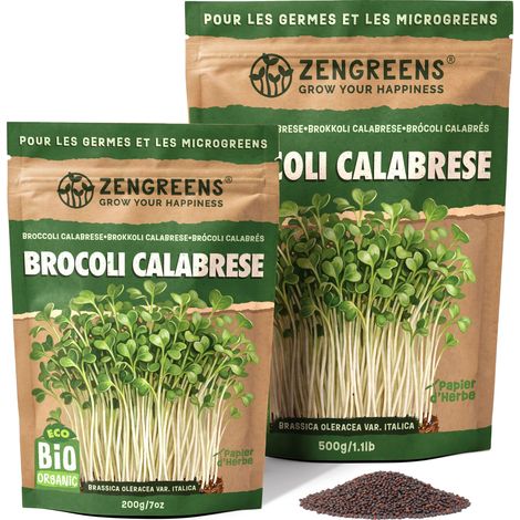 Graines à germer bio Brocoli Calabrais 500 g micro-pousses (1/5)