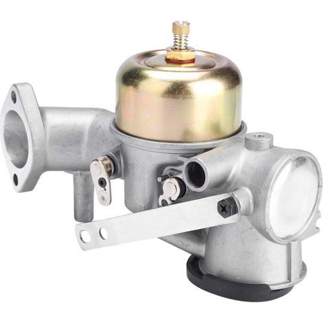 Garden FutureCarburateur pour 491031 490499 491026 281707 Moteur Carb X6D2 (1/5)
