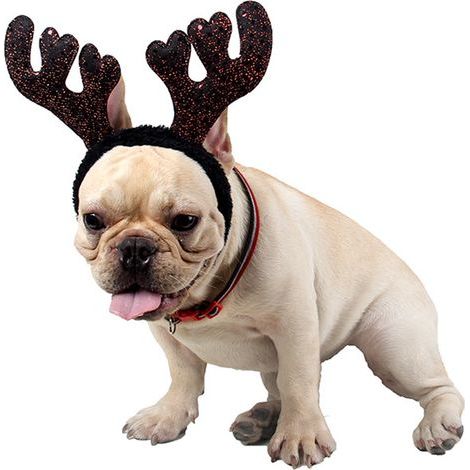 Déguisement de Noël pour petits chiens, déguisement de Noël avec bois de renne (1/5)