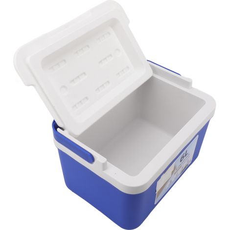 Glacière à insuline portable et robuste, type 1, 6 L, idéale pour les pique-niques, la pêche en rivière et le camping.