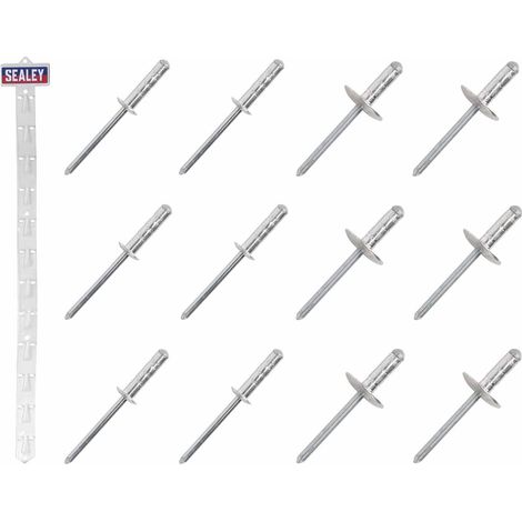 Sealey Clip Strip Deal - Aluminium Rivets RVSET (1/3)