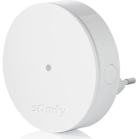 Somfy Relé de señal radio Protect blanco 200 m