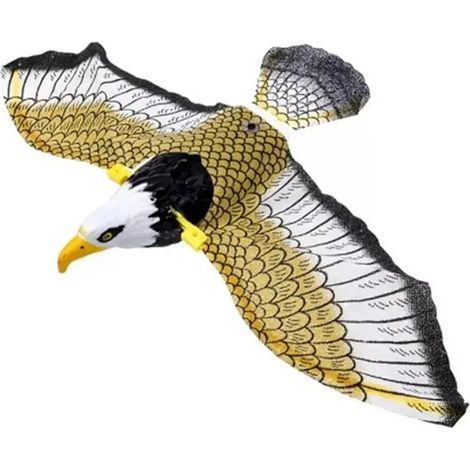 Musique rpulsive pour oiseaux Jy pour effrayer les oiseaux (1/5)