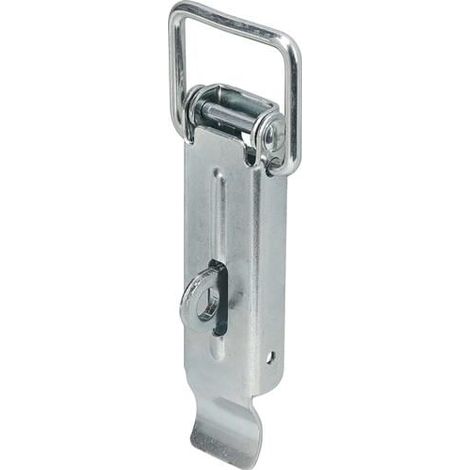 Fermeture de serrage Vormann ( 3000272458 ) hauteur 110 mm largeur 37 mm avec possibilité de plombage DIN 3133 (1/3)