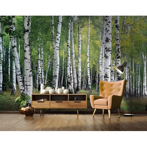 Vlies Fototapete Birken Wald 150x105 cm, Tapeten, für Wohn und Schlafzimmer, Vliestapete Wandtapete Tapete 3D Effekt- inkl. Kleister - Birkenwald Natur Landschaft, WallArena (1/4)