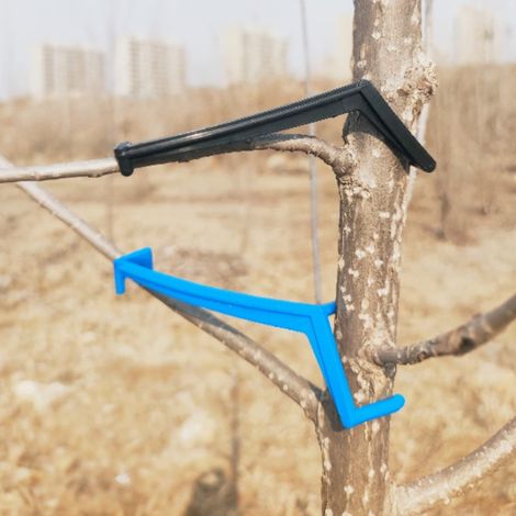 Lot de 30 épandeurs d'arbres fruitiers pour Branches de Pommier pour Pousser Les Membres pour la Plupart des Arbres fruitiers, Bleu et Noir (1/5)