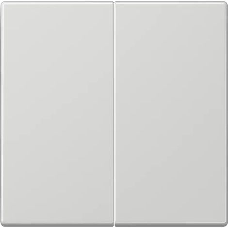 Doppelschlüssel für Schalter oder Taster GRAU GRAU JUNG LS 995 LG (1/2)