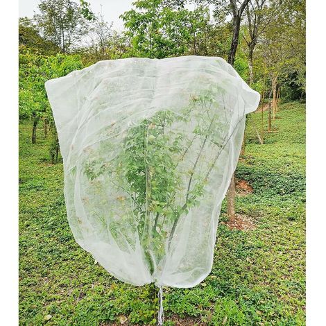 Fruit Tree Netting 1.8m X 1.8m, Plant Insect Netting, Fine Mesh Insect Netting with Drawstring, Anti Bird Netting for Protection Fruit Tree, Tree (1/5)