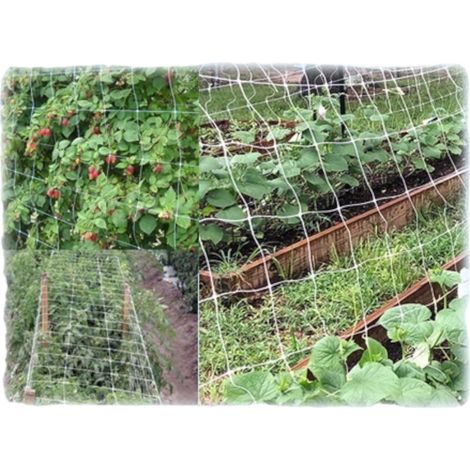 Ortofruutta -Netzwerk in Anti -UV - 200 cm