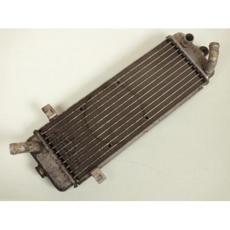 [PRODUIT D'OCCASION] Radiateur de refroidissement origine pour scooter Suzuki 125