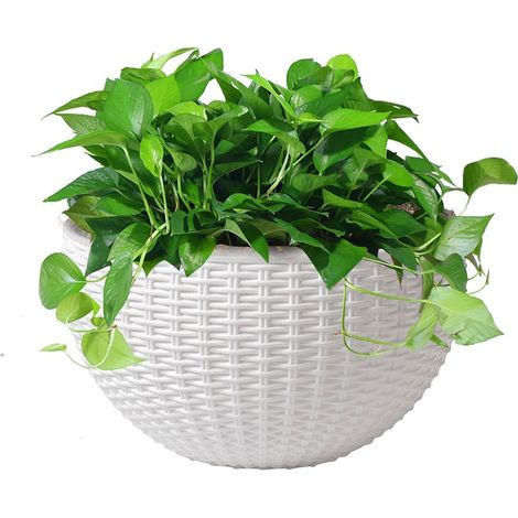 Jardinière murale suspendue Jardinières semi circulaires style européen en rotin synthétique (1/5)