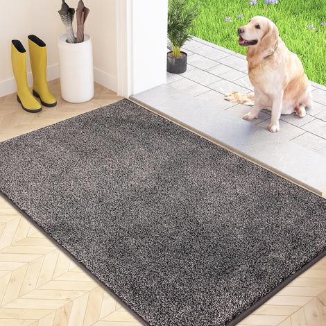 Paillasson attrape-poussière, tapis de sol antidérapant lavable machine, microfibres douces absorbantes pour chien, entrée6040cm (1/3)