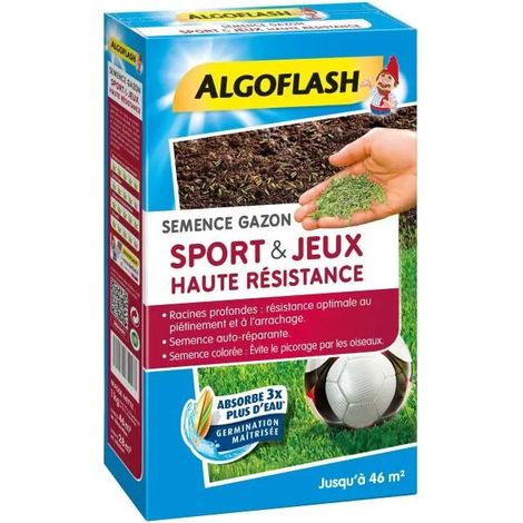 Algoflash ALGOFLASH Sport- und Spielrasen grün 2 kg
