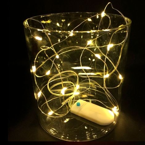 Hilo Luminoso 10 Leds Función Flash con Mando. (1/4)