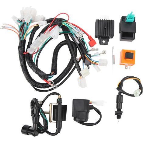 Tbest Kit de Faisceau de Fil de Métro de Moteur Remplacement du Moteur Robuste Stable Haute Performance pour CT70 1969 1982 1991 1994 12V ABS Matériau. (1/5)
