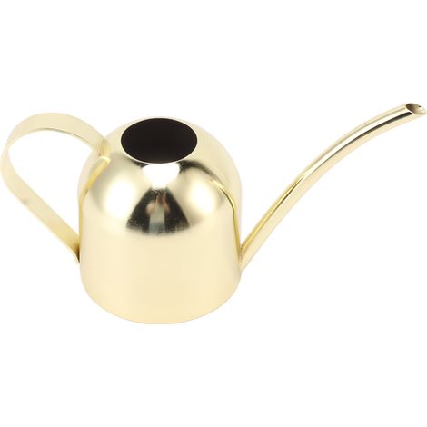Arrosoir en acier inoxydable, grande capacité, long bec, pour jardinage intérieur et extérieur, couleur or. (1/5)