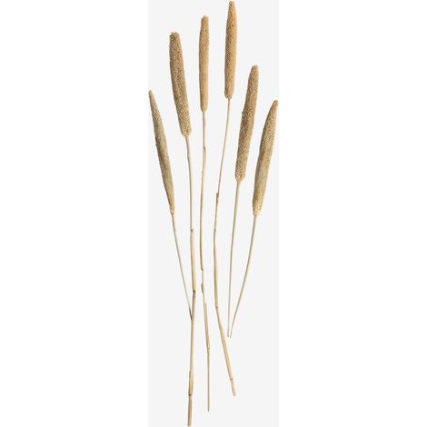Bouquet décoratif Koty SKLUM Beige Crème (1/5)