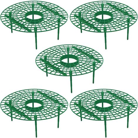 Platatio Frames e Plastic Tray Bags Strawberry Growing Strawberry Bag Strawberry Stad Holder Green Strawberry Platatio Bag for Strawberry Herb Tomato Platatio 5pcs