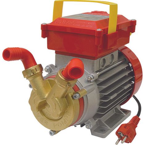 ELETTROPOMPA IN BRONZO BISENSO DA TRAVASO ROVER 20 CE    ROVER