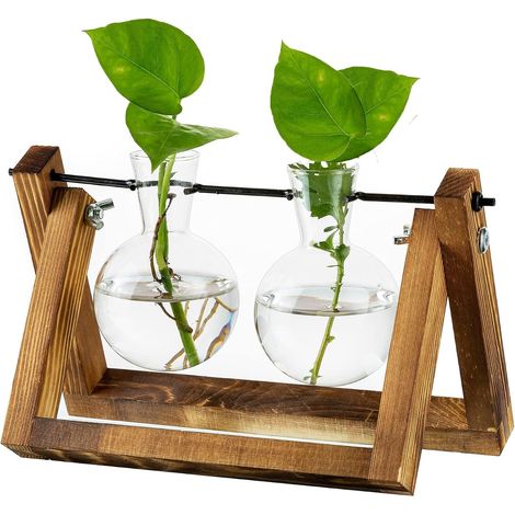 Plant Propagation Station, Vase Planter Bulb With Wooden Stand, 2 Pcs Glass Plant Pot, Indoor for Decoration Table Centerpiece Accessories (1/5)