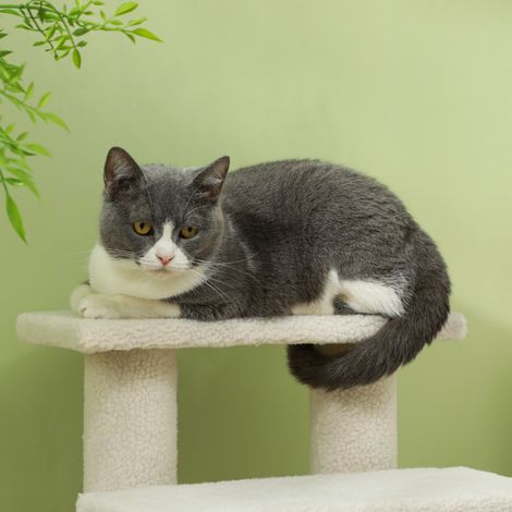 Échelle d'escalade pour chiens et chats 4 marches en peluche beige 63,5x43x60 cm (1/5)