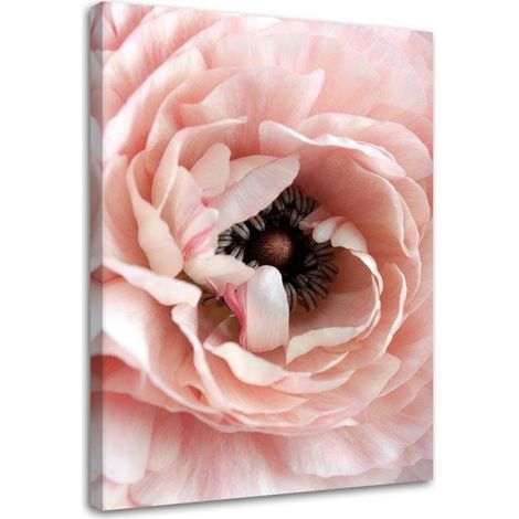 Tableau sur toile Pivoine Fleurs Rose 40x60 (1/5)
