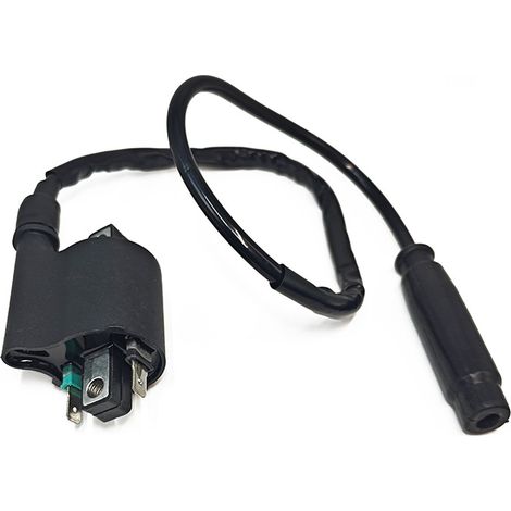 Bobine d'alltoage – Réf. 21121-0039 – Compatibthe Kawhichaki BRUTE FORCE 750 KVF750 (1/4)