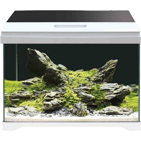 Amtra Modern tank 40 réservoir en verre extra-clair avec éclairage LED et filtre interne