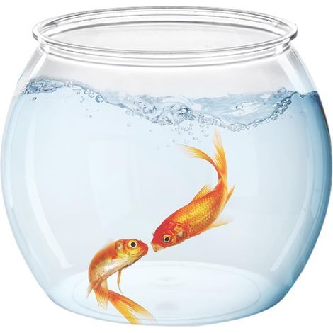 runde Fischschale, bruchsicheres PET-Material, hohe Transparenz, für Wohnzimmer, Büro, Zuhause (1/5)