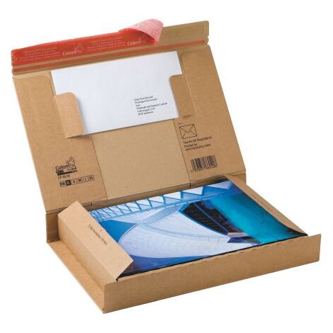 Boite postale carton 30 x 21,2 x 4,3 cm - Lot de 20
