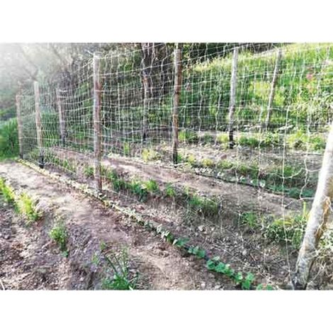 RETE RAMPICANTE CARDINALE 1,7x50 mt - colore bianco