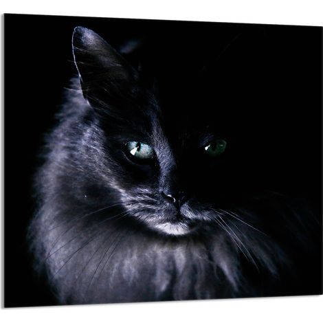 GLASPLATTE FÜR KÜCHE 65x60 Katze (1/5)