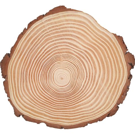 Natural Wood Slices Unfinished Wood Circles Ornaments Irregular Wood Slices with Bark29x26cm/11.4x10.2in (1/5)