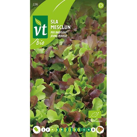 Bio Mesclun Jeune Pousse - Ca. 1 gr (Livraison Gratuite) (1/2)