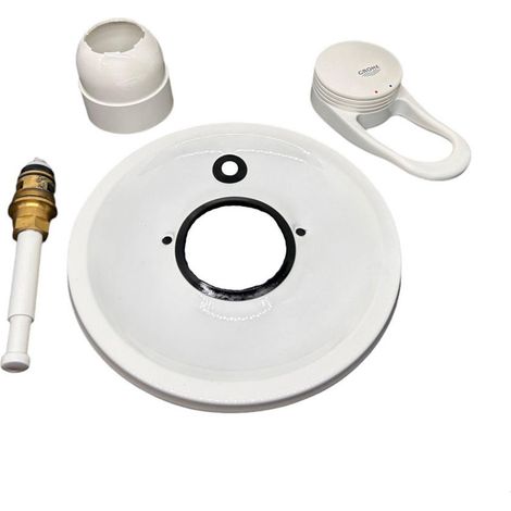 Ricambio parti esterne con deviatore per Europlus Grohe 19500L00