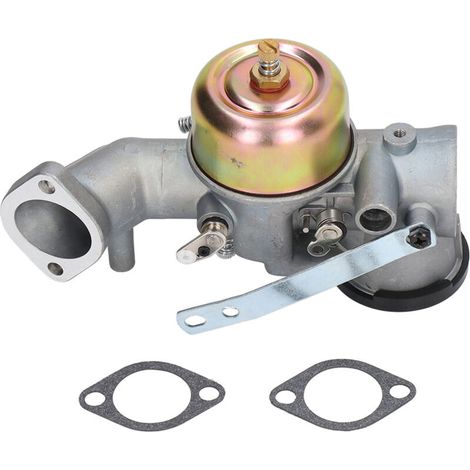Metallvergaser für Rasenmähermotor 491031 490499 491026 281707 12 PS – ABS + Metall, 1 Stück + 2 Dichtungen
