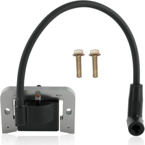 Bobine d'allumage pour 24 584 01-S 24-584-04-S 24 584 45-S avec boulons (1/3)
