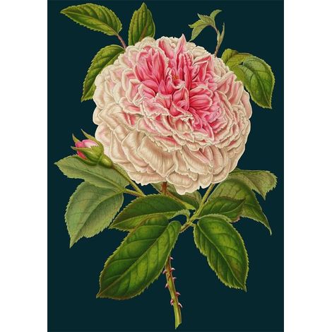 Tarjeta B6 con sobre rosa