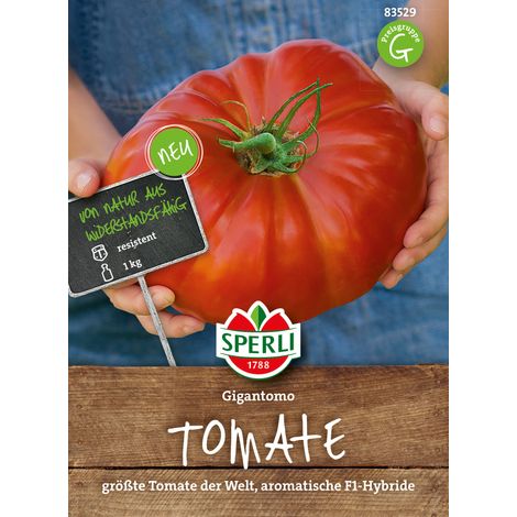 Sperli Tomaten Gigantomo - Gemüsesamen (1/2)