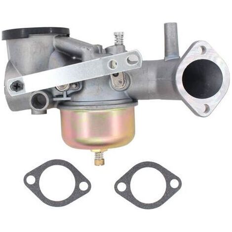 Carburateur avec joint pour moteur Briggs & Stratton 491031 490499 491026 281707 12HP (1/5)