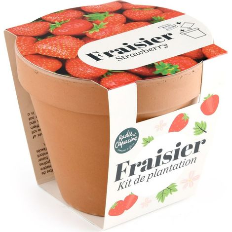 Pot Terre cuite Antique - Fraisier