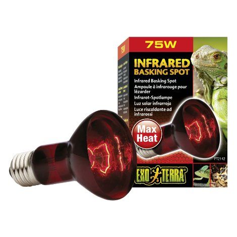 Lampada Exo Terra Basking Spot Infrarossi 75 W